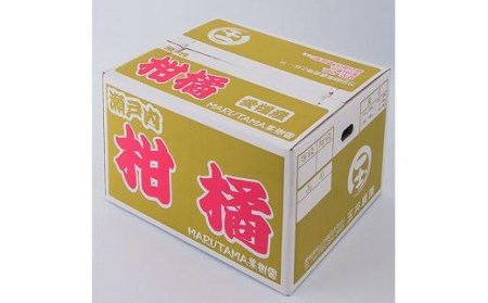 【発送は1月中旬から】 松山市産 伊予柑 秀品 Lサイズ（10kg）愛媛産 国産 愛媛みかん 愛媛蜜柑 愛媛ミカン みかん ミカン mikan 蜜柑 柑橘 フルーツ 果物 くだもの お取り寄せ 産地直送 数量限定 人気 おすすめ 愛媛県 松山市 フジ・アグリフーズ【FA0231】