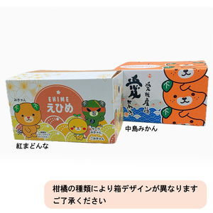 【11月下旬から発送】 「中島産紅まどんな」と「中島みかん」のセット （ 紅まどんな 柑橘 フルーツ まどんな みかん 愛媛 みかん 紅まどんな 蜜柑 紅まどんな ）【FA0331】