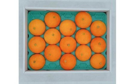 【11月下旬から発送】 松山市興居島産　紅まどんな　L～3Lサイズ | みかん【FA0452】