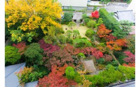 【道後温泉】ふなや クラブフロア温泉付き和室ペア宿泊券 | 温泉 旅行 トラベル チケット 宿泊 宿泊券 旅館 予約 観光 愛媛県 松山市 人気 おすすめ【FN0021】