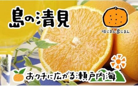 【2026年4月上旬から発送予定】希望の島 清見タンゴール 4kg 愛媛 中島産 | みかん 柑橘 みかん 清見 タンゴール みかん 清見 みかん 柑橘【FT016_x】