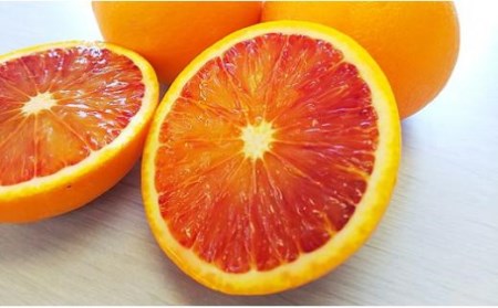 【2026年3月中旬から発送予定】希望の島 ブラッドオレンジ (タロッコ) 3kg | 愛媛 みかん 先行予約 蜜柑 柑橘 果物 くだもの フルーツ お取り寄せ グルメ 期間限定 数量限定 人気 おすすめ 愛媛県 松山市 【FT018_x】