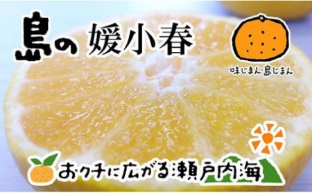 【2026年3月上旬から発送予定】希望の島 媛小春 2kg 愛媛 中島産 ﾐｶﾝﾐｶﾝﾐｶﾝﾐｶﾝ【FT0201】
