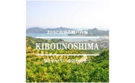 【12月中旬から発送予定】 希望の島 愛果28号 家庭用 約3kg 愛媛 中島産 愛媛県産 みかん 柑橘 紅まどんな 紅マドンナ と同品種【FT032_x】