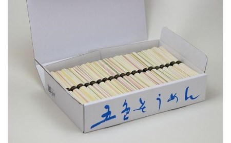 手延べそうめん 60束 そうめん 【GS004_x】