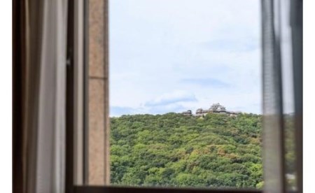 ホテルマイステイズ 松山館内利用券（30,000円分）| 温泉 旅行 トラベル チケット 宿泊 宿泊券 予約 観光 愛媛県 松山市 人気 おすすめ【HM003】