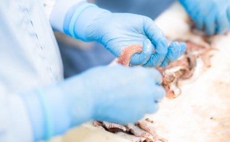 【化粧箱入】あんちょび入りじゃこのオイル漬け＜６本＞セット おすすめ 人気 ギフト セット 愛媛県 松山市 お酒のお供 ごはんのお供【IS006_x】