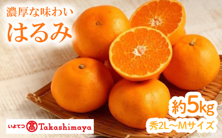 【2025年2月上旬から発送】はるみ（JAえひめ中央）約5kg　秀2L～Mサイズ （ 愛媛産 国産 愛媛みかん 愛媛蜜柑 愛媛ミカン みかん ミカン mikan 蜜柑 柑橘 フルーツ 果物 くだもの お取り寄せ 産地直送 数量限定 人気 おすすめ 松山市 送料無料 ）【IYT047_x】