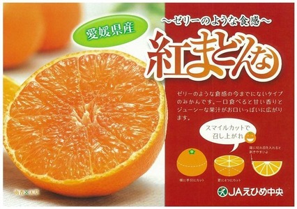 【2024年12月から発送】紅まどんな 約2.7kg 青秀 L～3Lサイズ（10～15玉）紅まどんな 紅まどんな 紅まどんな 紅まどんな 紅まどんな【IYT049_x】