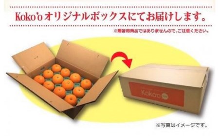 【2月中旬から発送】 せとか ＜優品＞ 約 3kg みかん 柑橘 優品 秀品 松山市産みかん 愛媛県 松山市 【KK0121】