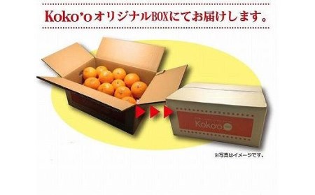 【2月中旬から発送】 不知火(しらぬい)＜家庭用・優品＞約5kg【KK017_x】