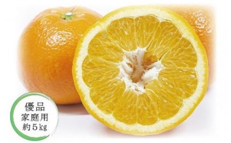 【1月中旬から発送予定】いよかん＜優品・家庭用＞約5kg （ 愛媛産 愛媛県産 国産 愛媛みかん 愛媛蜜柑 愛媛ミカン みかん ミカン mikan 蜜柑 柑橘 フルーツ 果物 くだもの お取り寄せ 産地直送 数量限定 人気 おすすめ 愛媛県 松山市 送料無料 ）【KK0581】