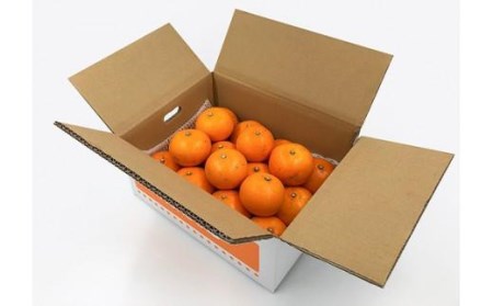 【訳あり】 愛果28号 約3kg | みかん 蜜柑 紅まどんな と同品種 高級 愛媛 松山 【KK0612】