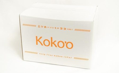 本格かんきつジュレ＜愛果(あいか)＞　12個入り（簡易BOX入り） おすすめ 人気 ギフト セット 愛媛県 松山市【KK0661】