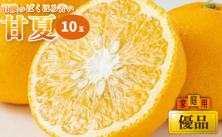 【2026年3月上旬から発送予定】甘夏 家庭用(優品) 10玉 （ 愛媛産 愛媛県産 国産 愛媛みかん 愛媛蜜柑 愛媛ミカン みかん ミカン mikan 蜜柑 柑橘 フルーツ 果物 くだもの お取り寄せ 産地直送 数量限定 人気 おすすめ 愛媛県 松山市 送料無料 ）【KK0792】 ﾐｶﾝﾐｶﾝﾐｶﾝﾐｶﾝ