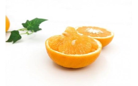 【2026年3月上旬から発送予定】甘夏 家庭用(優品) 10玉 （ 愛媛産 愛媛県産 国産 愛媛みかん 愛媛蜜柑 愛媛ミカン みかん ミカン mikan 蜜柑 柑橘 フルーツ 果物 くだもの お取り寄せ 産地直送 数量限定 人気 おすすめ 愛媛県 松山市 送料無料 ）【KK0792】 ﾐｶﾝﾐｶﾝﾐｶﾝﾐｶﾝ