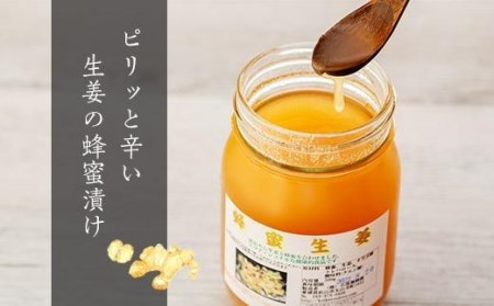 ランクアップ蜂蜜セット （生姜 しょうが ショウガ しょうがはちみつ漬け 生姜はちみつ しょうがはちみつ お土産 はちみつ ハチミツ はちみつ漬けみかん みかん 伊予柑 いよかん 国産 国産はちみつ 国産ハチミツ 国産蜂蜜 贈答品 楽天ふるさと 納税 愛媛県 愛媛 松山市）【KY003_x】