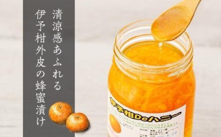 ランクアップ蜂蜜セット （生姜 しょうが ショウガ しょうがはちみつ漬け 生姜はちみつ しょうがはちみつ お土産 はちみつ ハチミツ はちみつ漬けみかん みかん 伊予柑 いよかん 国産 国産はちみつ 国産ハチミツ 国産蜂蜜 贈答品 楽天ふるさと 納税 愛媛県 愛媛 松山市）【KY003_x】