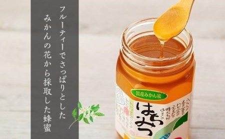 お手軽蜂蜜セット （ 愛媛産 愛媛県産 国産 はちみつ ハチミツ はちみつトースト お取り寄せ 産地直送 数量限定 人気 おすすめ 愛媛県 松山市 送料無料 ハチミツ ハチミツ）【KY004_x】