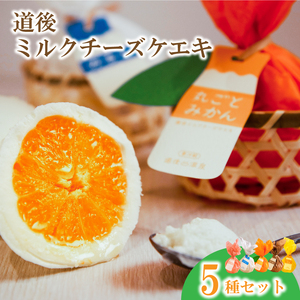 道後ミルクチーズケエキ 5種セット チーズケーキ お菓子 スイーツ おやつ ケーキ チーズケーキ スイーツ ケーキ チーズケーキ 道後 愛媛県 松山市【ME005_x】 4,150円
