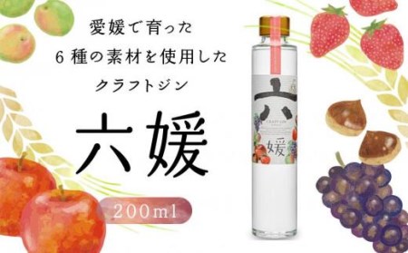 道後ジン 六媛 200ml お中元 おすすめ 人気 ギフト 道後 フルーツ クラフト 酒 愛媛県 松山市【MG048_x】