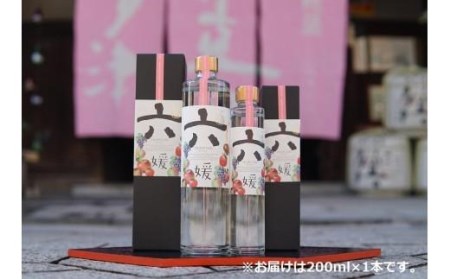 道後ジン 六媛 200ml お中元 おすすめ 人気 ギフト 道後 フルーツ クラフト 酒 愛媛県 松山市【MG048_x】