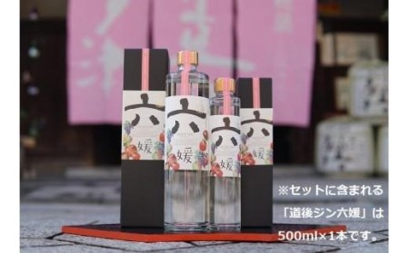 道後ジン 六媛・トニックセット（G6-500） 道後 お中元 おすすめ 人気 ギフト お祝い 酒 飲み比べ 愛媛県 松山市【MG051_x】