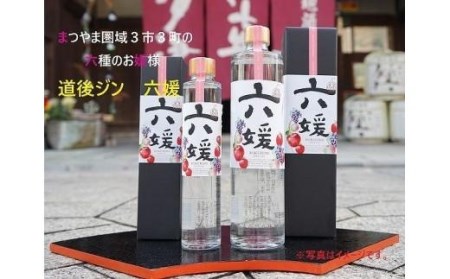 道後ジン 六媛・トニックセット（G6-500） 道後 お中元 おすすめ 人気 ギフト お祝い 酒 飲み比べ 愛媛県 松山市【MG051_x】