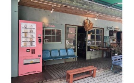 N’sKitchen＆labo スコーン10個セット【NL0011】