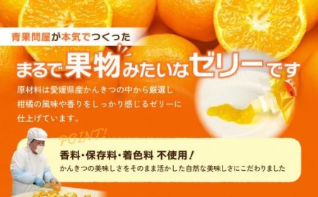 【大人気】 ちゅうちゅうゼリー （175g）×16本セット 果汁 ゼリー 飲料 柑橘 ゼリー パック みかん 果物 ゼリー スイーツ 愛媛県 松山市 おすすめ人気【OF002_x】★