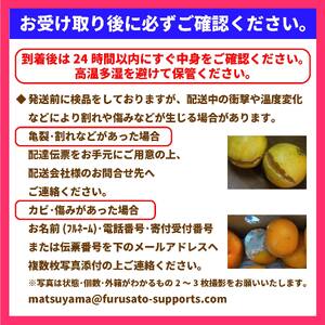 【先行予約】愛果28号 5kg | みかん みかん ミカン フルーツ みかん みかん 果物 みかん くだもの みかん 【11月下旬～12月下旬発送】【OS0022】