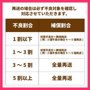 【先行予約】愛果28号 5kg | みかん みかん ミカン フルーツ みかん みかん 果物 みかん くだもの みかん 【11月下旬～12月下旬発送】【OS0022】