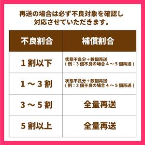 愛果28号 5kg あいか 家庭用 愛果 みかん 柑橘 蜜柑 フルーツ 先行予約 松山市 愛媛県 数量限定 【 2024年 11月 12月発送 】【OS0032】