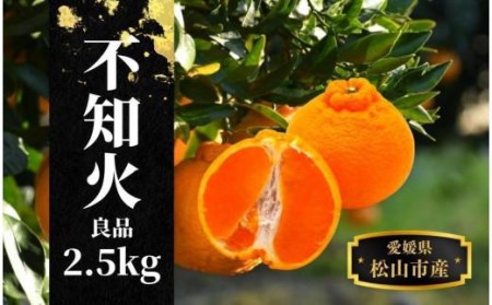 【不知火】良品 約 2.5 kg ＜2026年2月末～4月頭頃発送＞ 愛媛 松山 みかん 先行予約 蜜柑 柑橘 果物 くだもの フルーツ お取り寄せ グルメ 期間限定 数量限定 人気 おすすめ 愛媛県 松山市【PT006_x】