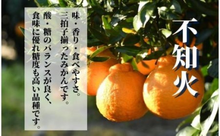 【不知火】良品 約 5kg　＜2026年2月末～4月頭頃発送＞愛媛 松山 みかん 先行予約 蜜柑 柑橘 果物 くだもの フルーツ お取り寄せ グルメ 期間限定 数量限定 人気 おすすめ 愛媛県 松山市【PT007_x】