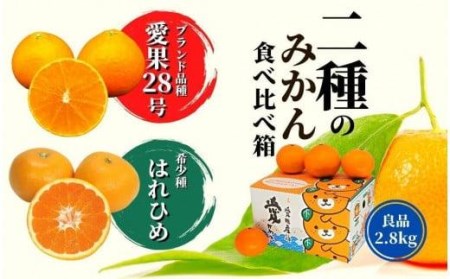 【早期予約受付中！2024年12月～順次発送】二種のみかん食べ比べ箱 愛果28号・はれひめ(良品) 約2.8kg  （愛媛 みかん 蜜柑 みかんセット 蜜柑セット 果物 みかん 蜜柑）【PT014_x】