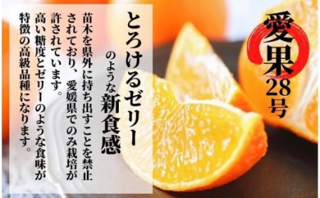 【早期予約受付中!12月から順次発送】二種のみかん食べ比べ箱 愛果28号・はれひめ(良品) 約2.8kg【PT014_x】