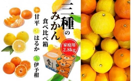 【三種のみかん食べ比べ箱】甘平・はるか・宮内伊予柑 （家庭用）約2.8kg　＜2025年2月頃発送＞ 食べくらべ 柑橘 くだもの フルーツ 愛みかん 愛媛みかん ミカン フルーツ 果物 みかん 柑橘 甘いみかん【PT021_x】