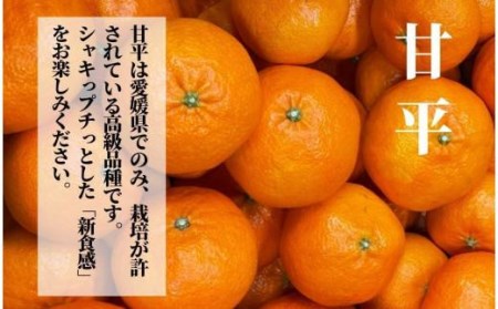 【三種のみかん食べ比べ箱】甘平・はるか・宮内伊予柑 （家庭用）約2.8kg　＜2025年2月頃発送＞ 食べくらべ 柑橘 くだもの フルーツ 愛みかん 愛媛みかん ミカン フルーツ 果物 みかん 柑橘 甘いみかん【PT021_x】