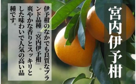 【三種のみかん食べ比べ箱】甘平・はるか・宮内伊予柑 （家庭用）約2.8kg　＜2025年2月頃発送＞ 食べくらべ 柑橘 くだもの フルーツ 愛みかん 愛媛みかん ミカン フルーツ 果物 みかん 柑橘 甘いみかん【PT021_x】