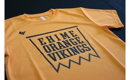 定番のオレンジTシャツ＆選手考案のキャップセット【サイズ：Ｓ】【SE004】