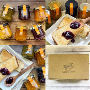 季節の手作りジャム６種類セット 愛媛県 松山市 ファームメイドジャム 手作りジャム【SF0011】
