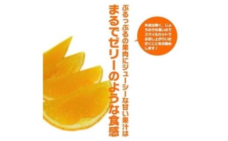 【先行予約】【2024年11月下旬頃発送】 紅まどんな 約3kg（8~15玉）4L～Lサイズ 愛媛 みかん 紅マドンナ 紅まどんな 蜜柑 柑橘 果物 贈答 愛媛のみかん くだもの フルーツ 愛媛県 松山市【SSK0021】