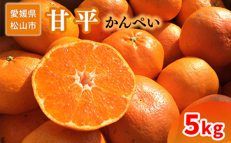 ＜ご家庭用＞1月下旬から発送 甘平5kg （ 愛媛 みかん 先行予約 蜜柑 柑橘 果物 くだもの フルーツ お取り寄せ グルメ 期間限定 数量限定 人気 おすすめ 愛媛県 松山市 ）【SU001_x】