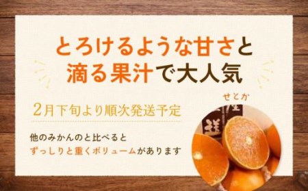 【2月下旬より発送】 せとか 3kg 【1級品】| 柑橘 みかん せとか 果物 愛媛県 松山市 田村農園 【TMN017】【TMN017_x】