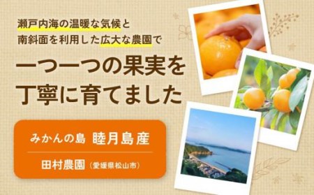 【2月下旬より発送】 せとか 3kg 【1級品】| 柑橘 みかん せとか 果物 愛媛県 松山市 田村農園 【TMN017】【TMN017_x】