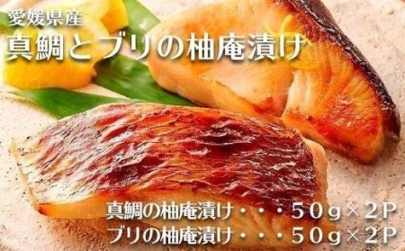 愛媛県産真鯛とブリの柚庵漬け 各２P【TS029_x】