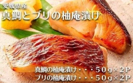 愛媛県産真鯛とブリの柚庵漬け　各２パック | 海鮮 魚介 鯛 ブリ ブリ ブリ ブリ ブリ ブリ ブリ ブリ ブリ ブリ 簡単調理のお惣菜 惣菜 ご飯のお供 酒の肴 愛媛県 松山市【TS029_x】