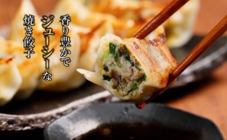 【ミシュランガイド掲載】点心専門店の手づくり焼き餃子 120個/4.2kg(タレ・作り方付き) | 水餃子 餃子 ギョーザ 餃子 ギョーザ 点心 本格中華 冷凍餃子 餃子 ギョーザ 点心 中華 点心 中華料理 おすすめ人気 冷凍餃子 ぎょうざ ギョウザ 餃子 愛媛県 松山市【YE0082】