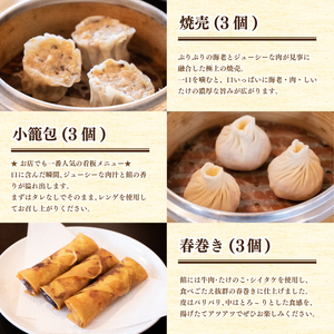【ミシュランガイド掲載】点心セット10種 (3~4人前) 餃子 ギョーザ 点心 中華 焼売 シューマイ 春巻 えび 小籠包 餃子 焼き餃子 水餃子 蒸し餃子 水晶餃子 餃子【YE0102】